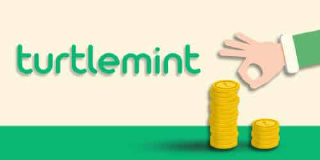 Turtlemint logo