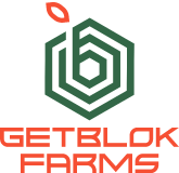 GetBlok.io logo