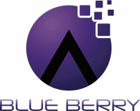 Blue Berry e- Services Pvt Ltd logo