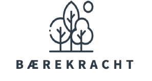 Baerekracht logo