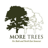 More Trees BANES CIO logo
