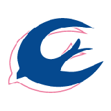 Sagesa Healthcare logo