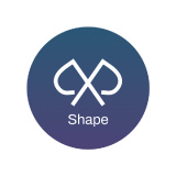 PxP Shape logo