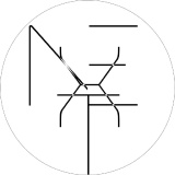 Next Sapien logo