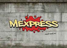 Mexpress Ug logo