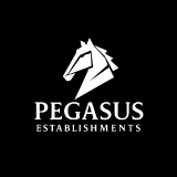 Pegasus Establishments ltd logo
