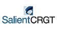 Salient Federal Solutions, Inc. logo