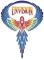 Envision Festival logo