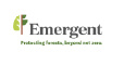 Emergent logo
