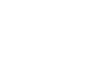 The Opportunity Group logo