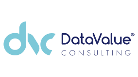 Datavalue Consulting