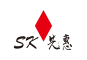SK Automation Germany GmbH logo