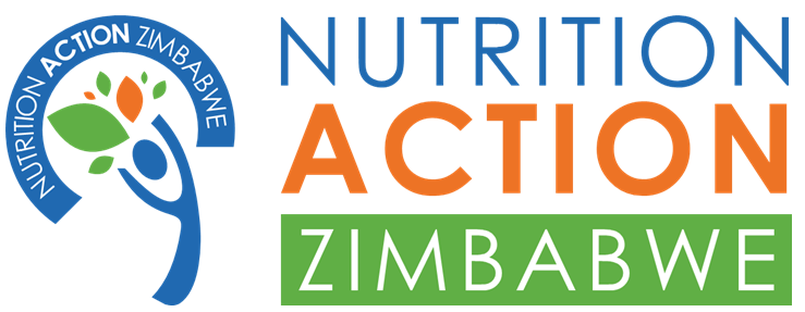 Nutritionactionzimbabwe1 logo