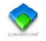Cornerstone HR Advantage LLC logo