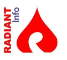 Radiant Systems Inc