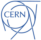 CERN  Term Internship 