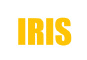 IRIS Software