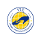 VIE - Village International Education logo