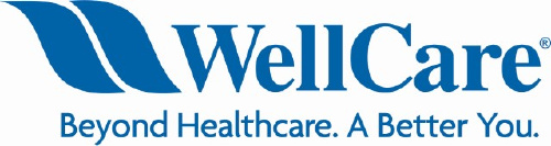 wellcare director provider payment innovation provider network management tempe az smartrecruiters wellcare director provider payment